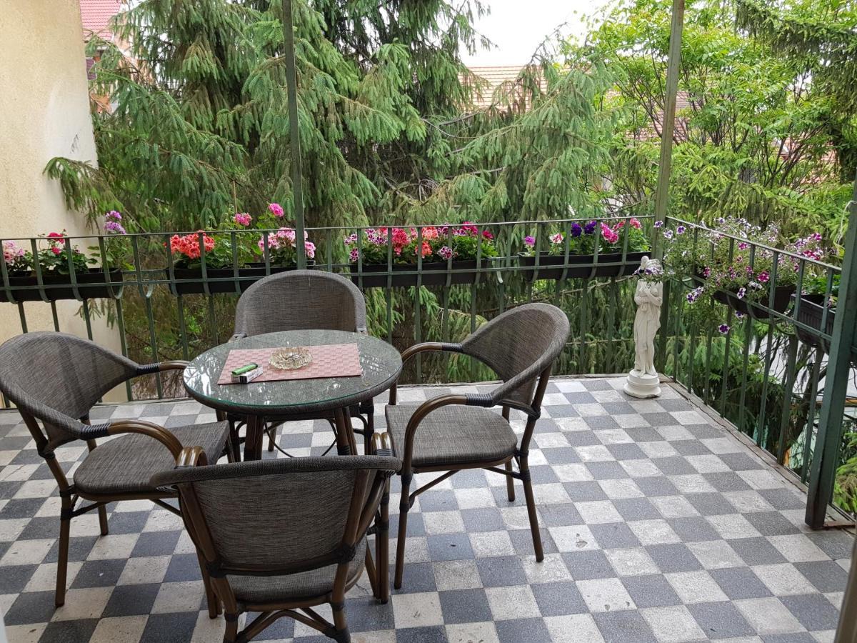 City Center Dream Apartment Timişoara Buitenkant foto