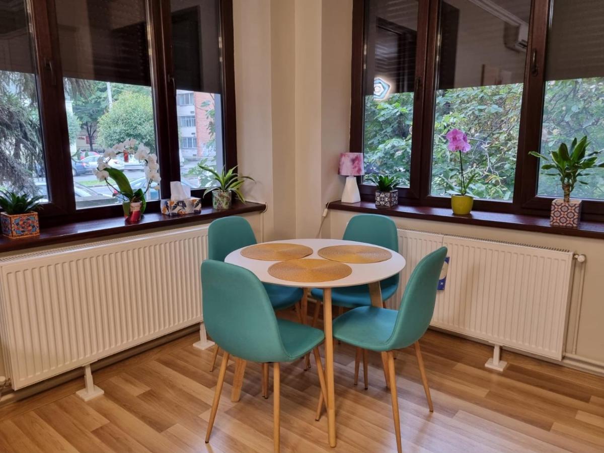 City Center Dream Apartment Timişoara Buitenkant foto