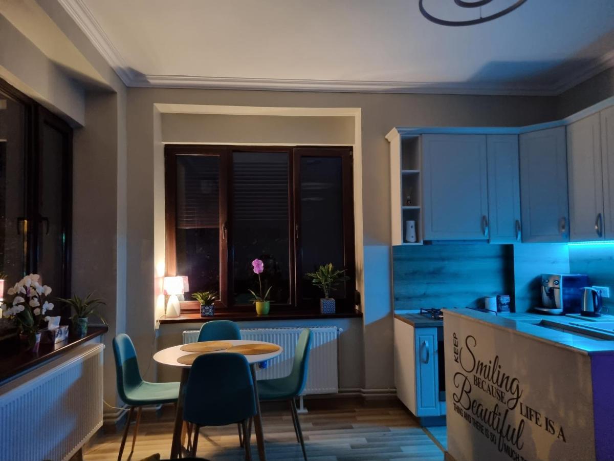 City Center Dream Apartment Timişoara Buitenkant foto