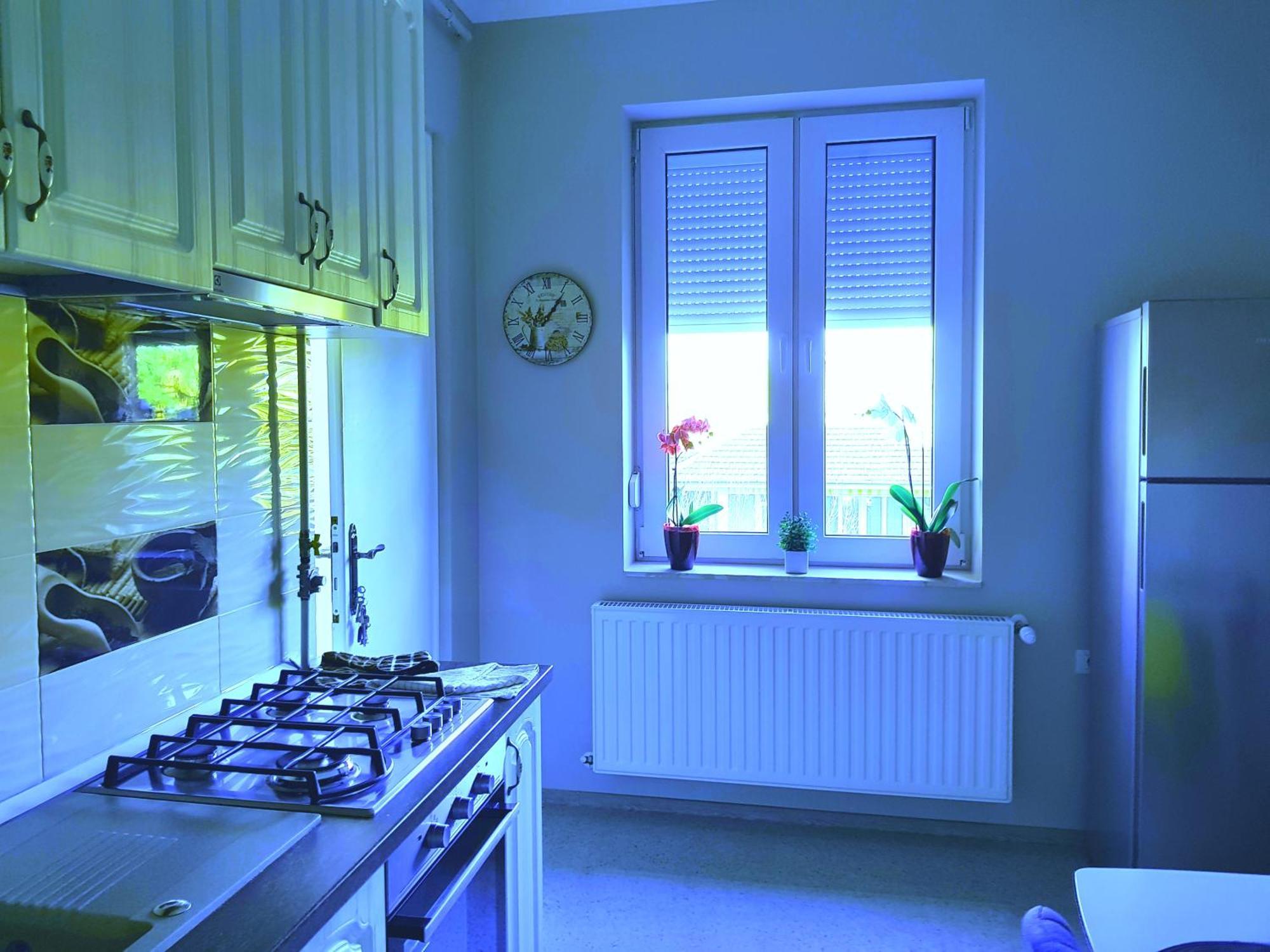 City Center Dream Apartment Timişoara Buitenkant foto